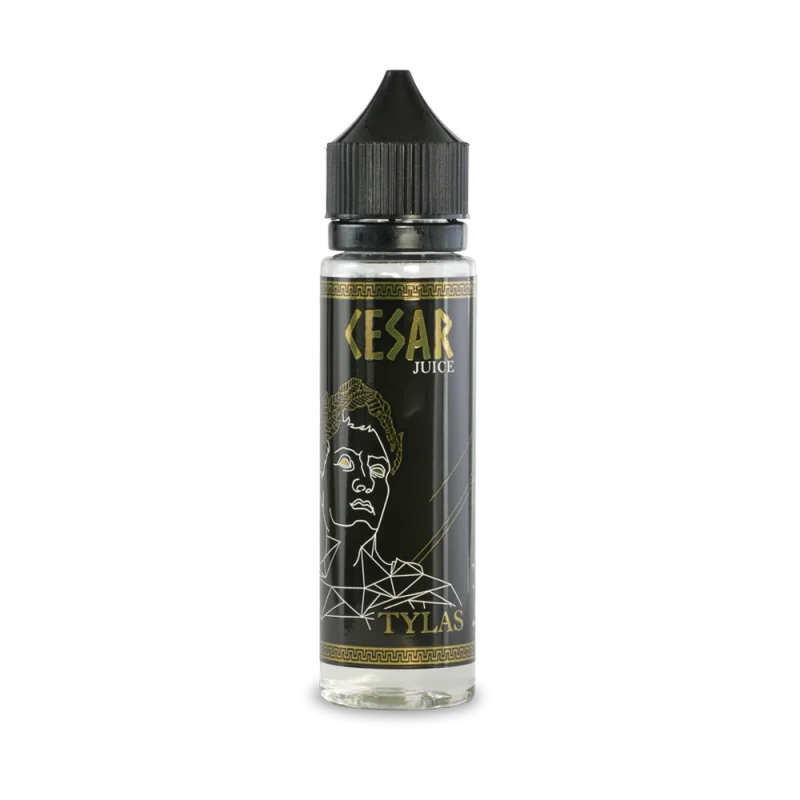 <h3 style="font-weight: bold; font-size: 20px;">     Tylas</h3>